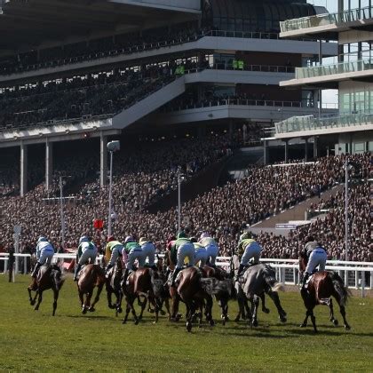 sbk cheltenham|Horse Racing Tips and Previews from SBK.